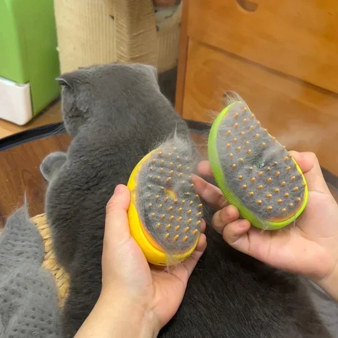 Electric Steamy Brush for Massage Pet