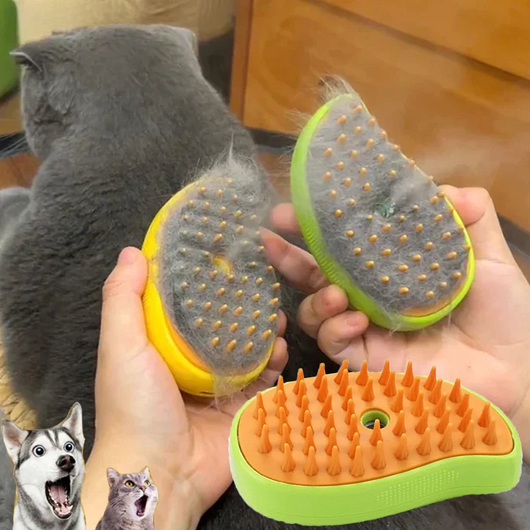 Electric Steamy Brush for Massage Pet